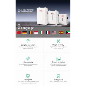 Sistema de Almacenamiento de Energía Doméstico (ESS) LiFePO4 de 51.2V 300Ah, 15kWh, Inteligente, Listo para Sistemas Aislados, con Certificación CE y RoHS, con Ruedas, CAN, RS485, Garantía de 10 Años, Disponible en Stock Local - Product Image 3