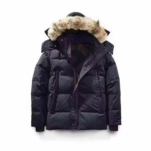 Abrigo Clásico de Alta Calidad para Invierno, Cortavientos, con Forro de Piel, Chaqueta de Plumón Canadiense para Hombre - Product Image 6
