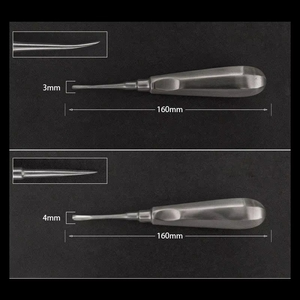 Vente en gros Ensemble d'ascenseurs dentaires de 10 instruments chirurgicaux en acier inoxydable pour l'extraction de dents atraumatiques - Product Image 4