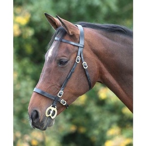 Plaine dans la main montrant les brides Brides flash surélevées Équitation Bride de cheval de bonne qualité Logo personnalisé Meilleure vente basse - Product Image 1