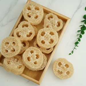 Éponges à récurer naturelles biologiques de qualité supérieure pour la fabrication de savon et l'utilisation en cuisine-Bulk Luffa Luffa Made in Vietnam - Product Image 3
