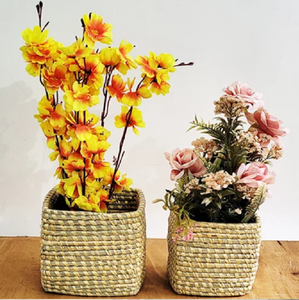 Toptan fiyatlarla mevcut küçük bitkiler için ideal bir zig-zag deseni ile üç renkli moonj çim yetiştiricilerinin <span class=keywords><strong>Set</strong></span>. - Product Image 2