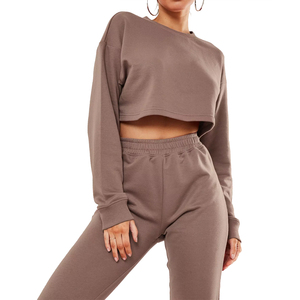 Chándal de invierno personalizado de alta calidad OEM para mujer, conjunto de 2 piezas, Top corto con capucha y pantalones de chándal, chándal en blanco para correr para mujer - Product Image 6