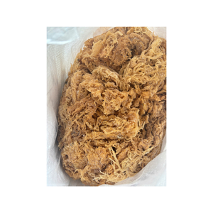 สาหร่าย Eucheuma cottonii จากเวียดนามผ่านกรรมวิธีอย่างรอบคอบเพื่อความบริสุทธิ์และคุณภาพที่เหมาะสม - Product Image 6