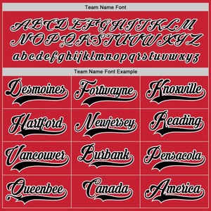 Customizable Logo Premium Quality Ice <b>Hockey</b> Jersey for Kids and Adults Sports Wear for Custom Team Name - Product Image 4