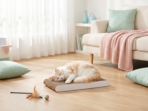 Grand grattoir pour chat en carton plat double face avec herbe à chat - Product Image 3