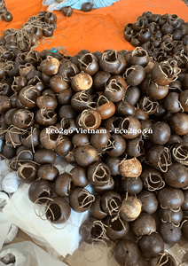 กระถางดอกไม้กะลามะพร้าวสำหรับตกแต่งสวน - Product Image 5