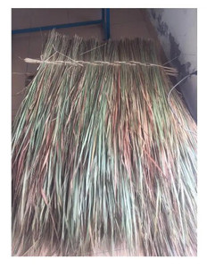 Branches de palmier écologiques/toiture en feuilles de palmier/toit en jonc de mer à partir de 99 données d'or Vietnam pour l'exportation à des prix abordables - Product Image 2