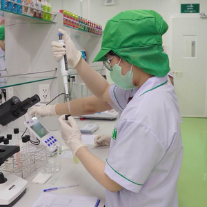 Bebida de Jugo de Frutas Mixtas VINUT 250ml, Bebidas Bajas en Calorías y Azúcar - Muestra Gratuita OEM/ODM Marca Privada - Product Image 4