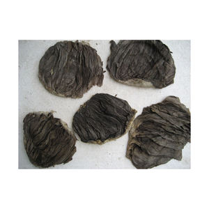 Frozen <b>Beef</b> Omasum From Belgium Offered in Large Quantities at Competitive Wholesale Prices Perfect for Bulk Orders Wholesalers - Product Image 6