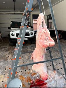 Cuerpo Entero de Cordero Halal IQF de Calidad de Exportación, Congelado al Vacío, Suministro a Granel para Compradores Internacionales, Grasa de Cola de Cordero - Product Image 1