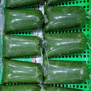 Poudre de feuilles de manioc surgelées de qualité supérieure |   Fraîchement transformé pour l'exportation - Product Image 1