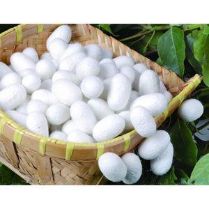 NATURAL FIBER COCOON / for BEAUTY, CRAFT, and COMFORT / MADE in VIETNAM - Product Image 1