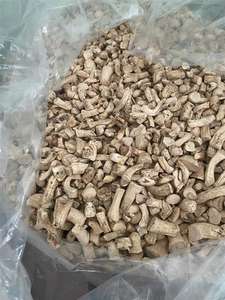 Tallos de hongos Shiitake secos para sopa para té o hacer hilo dental de hongos veganos - Product Image 4