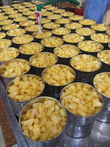 MEILLEURE VENTE en 2025-ANANAS EN CONSERVE au SIROP LÉGER pour GOÛT SUCRÉ DU VIETNAM - MS. Elite - Product Image 6