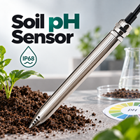 Sonde de pH numérique portable Coda CDT-17B pour surveillance en ligne, sortie 4-20mA RS485, précision 0,01pH, IP68, OEM