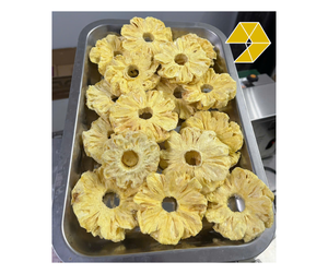 Piña Liofilizada a Precio de Mayoreo, Rodajas de Fruta Seleccionadas para Producción de Snacks y Venta al por Menor desde Vietnam, Piña Liofilizada - Product Image 1