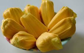 Segmentos de Jackfruit Congelados IQF de VDELTA Vietnam |   Corte Uniforme |   Venta al por Mayor - Product Image 4