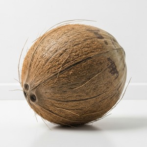 Noix de coco matures fraîches pour l'exportation Noix de coco tropicales naturelles de haute qualité semi-décortiquées ou décortiquées Fourniture en gros disponible - Product Image 1