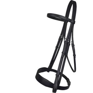 ม้า Eco Rider แสดงกระดูกหนังม้า กระดูกหนังม้ากายวิภาค กระดูกหนังม้า - Product Image 1