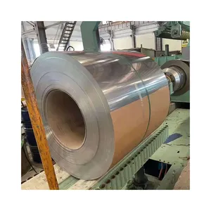 Stainless Steel 309 Shim Slit Coil Cold Roll Rolls 0.5 Mm Price