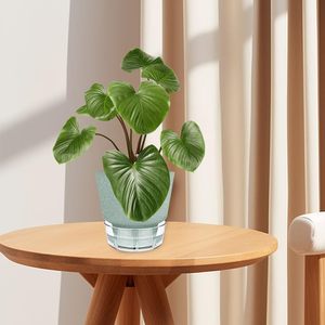 Pot de plante auto-arrosant avec mèche en coton - Jardinière pour fleurs <span class=keywords><strong>d</strong></span>'intérieur <span class=keywords><strong>et</strong></span> <span class=keywords><strong>d</strong></span>'extérieur avec plateau <span class=keywords><strong>d</strong></span>'arrosage, jardinières faciles <span class=keywords><strong>d</strong></span>'entretien pour la maison, le jardin - Product Image 6