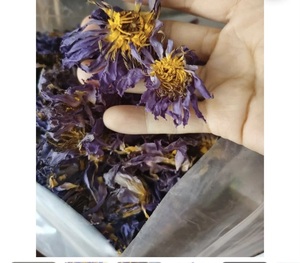 Thé aux fleurs de lotus bleu égyptien biologique séché |   Fleurs entières de Nymphaea Caerulea |   Thé au lotus bleu premium |   Vente en gros - Product Image 1