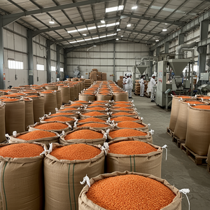 Lentejas Rojas Secas Empaquetadas para Exportación a Granel, Alto Valor Nutricional para Industrias de Procesamiento de Alimentos - Product Image 4