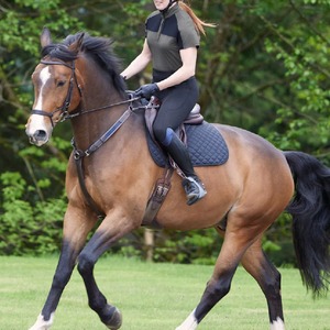 Chemise à manches courtes à demi-zip personnalisée pour femmes, vêtements d'équitation, séchage rapide, vêtements d'équitation respirants, base en toile tricotée unie - Product Image 2