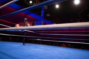 Équipement de boxe professionnel Usine Anneau de boxe au sol personnalisé Couverture de corde Anneau de boxe utilisé pour les matchs de fitness - Product Image 2