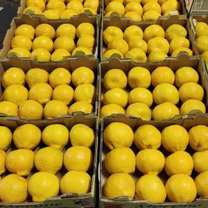 Acheter des fruits frais de Naartjies naturels à vendre - Product Image 5