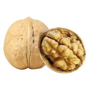 Organic White Whole Grain Thin Shell Walnuts Fresh Natural <b>Kernels</b> Dry Raw <b>Nuts</b> Food Grade Bulk Packaging-Wholesale Price - Product Image 6