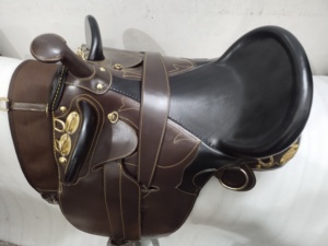 Chất lượng tuyệt vời Úc cổ trắng màu ngựa yên với phụ kiện không có sừng tất cả các kích cỡ có sẵn với giá bán buôn - Product Image 5