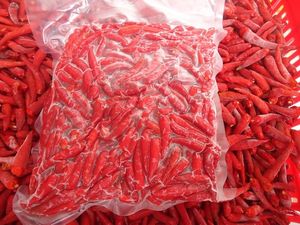 Piment vert entier congelé IQF à usage industriel, frais de ferme et traité à la machine | Mme Jessi - Product Image 4