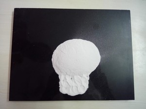 Polvo de dolomita de mármol de carbonato de calcio de alta calidad para industrias cerámicas y pisos de terrazo/fabricación de azulejos - Product Image 5