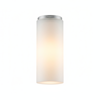 Plafonnier LED moderne élégant de haute qualité, blanc, en acrylique méthacrylate, IP20, 3000K, durable et fiable, forme cylindrique