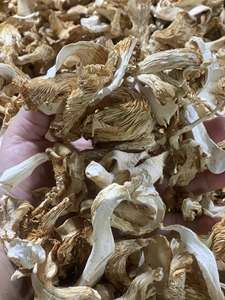 Champignons de la mer séchés du Vietnam, qualité supérieure, prêts à l'exportation // Mme Sophie - Product Image 3