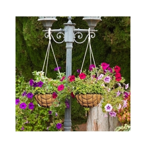 Maceta Colgante Biodegradable de Fibra de Coco BEST CHOICE para Floricultura Profesional y Jardinería Vertical Segura, Producto de Fibra Biológica - Product Image 5