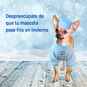 Adorabile Felpa XS in Peluche per Gatti, Comoda e Classica, per Autunno e Inverno, Motivo Tinta Unita - Product Image 4