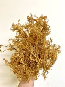 Good Quality <b>Seaweed</b> Irishmoss Seamoss Jamaica Eucheuma Cottonii From Ninh Thuan Sea Vietnam/ Serena - Product Image 2