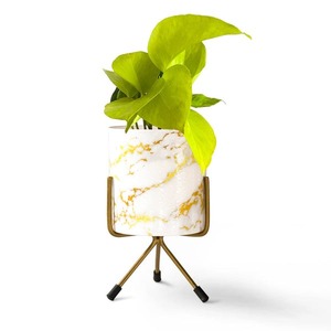 Macetas colgantes de metal de moda para jardín y hogar Elevar su espacio con diseños elegantes para balcón y sala de estar - Product Image 1