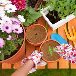 Géotextle non tissé biodégradable en fibre de coco naturelle tapis de jardinage anti-mauvaises herbes - Product Image 6