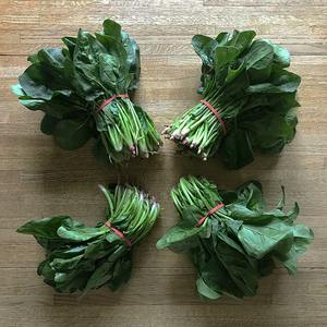 Espinaca verde natural congelada al por mayor recién procesada y empaquetada de forma segura a precio minorista y de catering a granel - Product Image 4