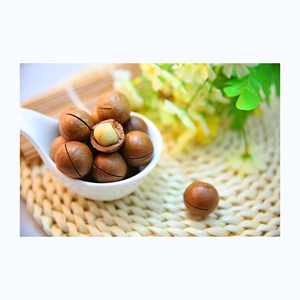 Nueces de Macadamia orgánicas a la venta - Product Image 4