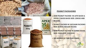 Arachides Bold Peanuts Bold 40 50, Fournisseur d'Arachides Bold Peanuts, Vente en Gros d'Arachides Bold Peanuts, Exportateur d'Arachides Bold Peanuts, Fabricant d'Arachides Bold Peanuts - Product Image 4