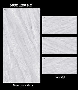 Carreaux de sol et mur en porcelaine polie modifiée de haute qualité 600x600/600x1200 Carreaux en porcelaine à surface solide de première qualité fabricant indien - Product Image 2