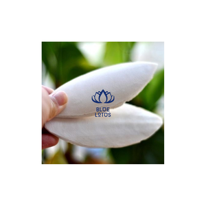 BAS BON MARCHÉ 2023 AROS DE POISSON DE LA MATIÈRE PREMIÈRE BLUE LOTUS VIETNAM - Product Image 1