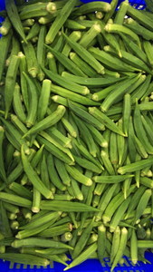Okra surgelée entière coupée, vente chaude, excellent prix, Akina - Product Image 2