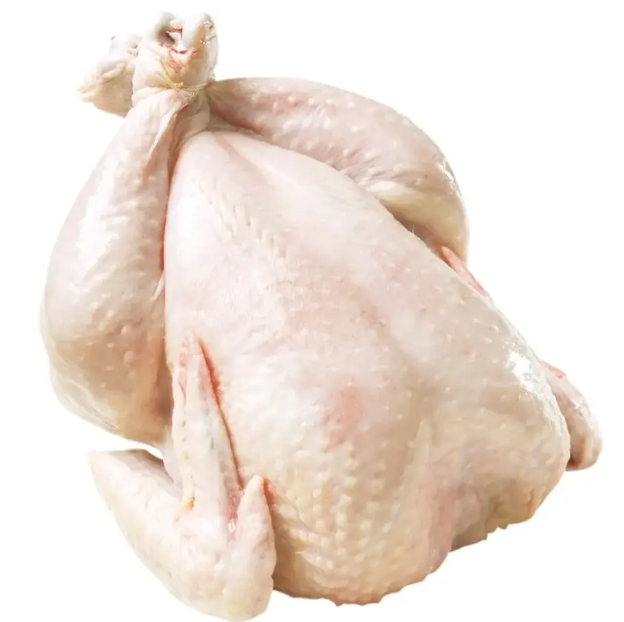 Poitrine de poulet congelée halal et emballage de style boîte de poulet entier congelé Poids Prix bon marché