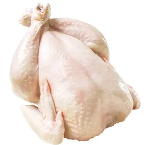 Pechuga de pollo congelada Halal y caja de pollo congelada entera Características de embalaje Peso Precio barato